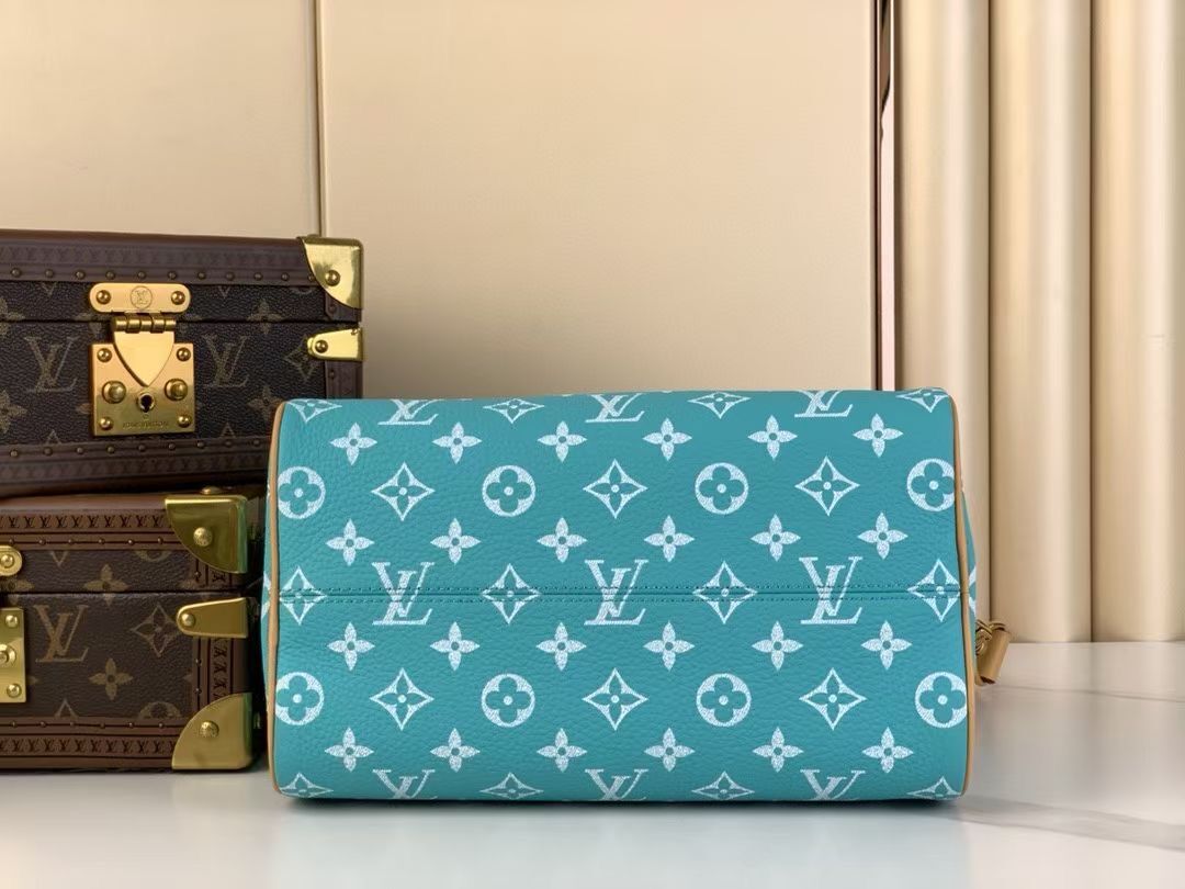 l**is V*t*n speedy bandoulière 25-25x 19 x 15cm