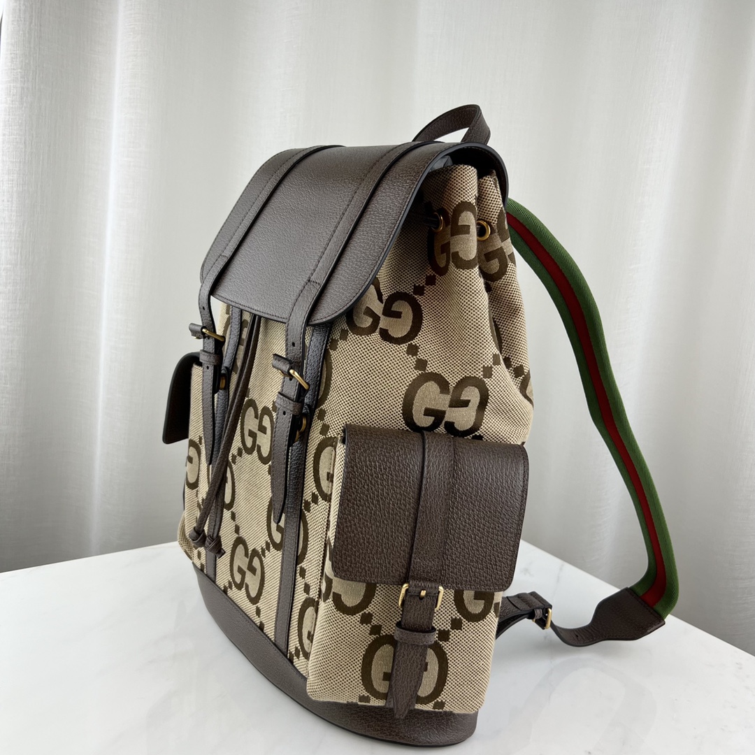 G*u*i backpack-34x42x16cm