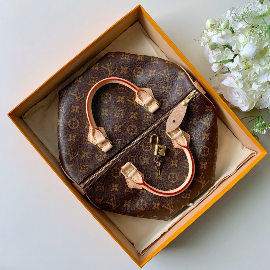 l**is V*t*n speedy-30x21x17cm