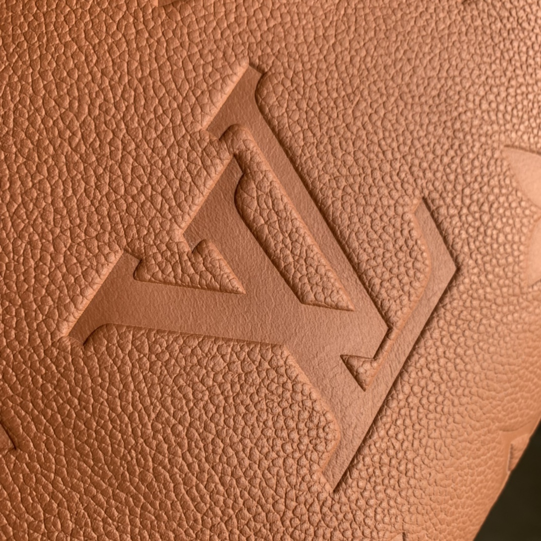 l**is V*t*n speedy bandoulière 25-25x 19 x 15cm