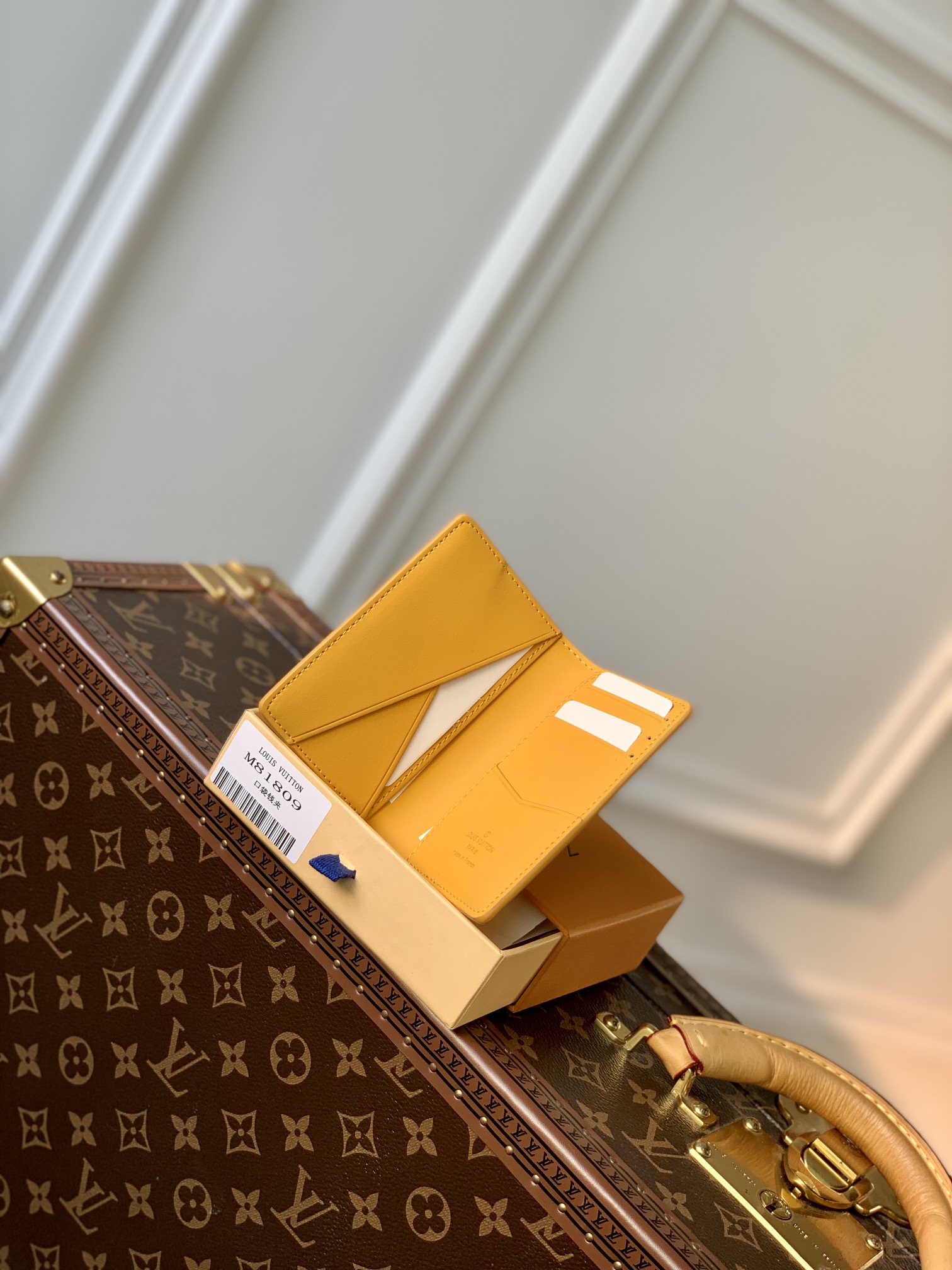 l**is V*t*n aerogram wallet-8 x 11 x 1cm