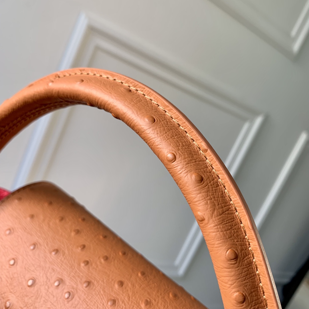 l**is V*t*n capucines handlebag