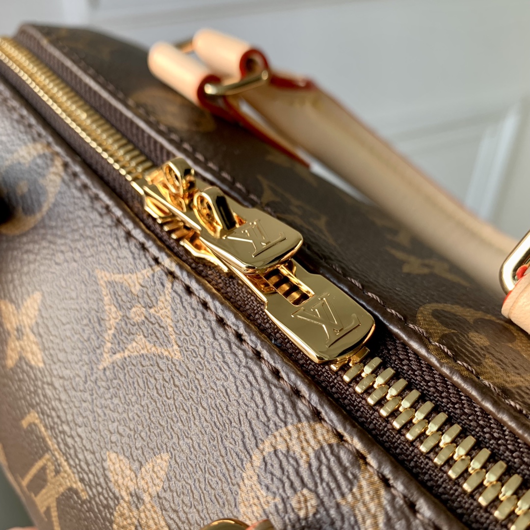 l**is V*t*n speedy m40489 20 -20.5 x 13.5 x 12cm