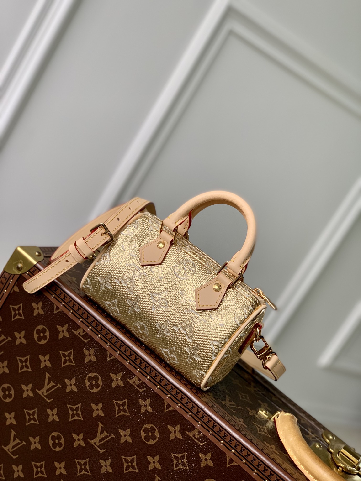 l**is V*t*n nano speedy-16cm