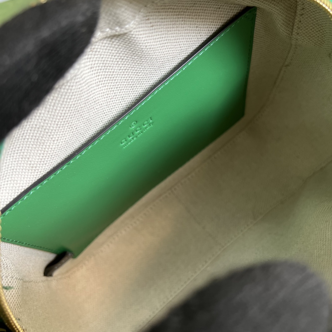 G*u*i ophidia bag-21.5x 17x 7.5cm