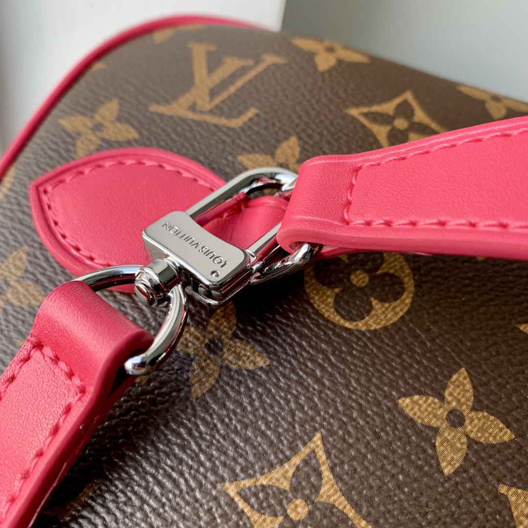 l**is V*t*n nice cosmetic bag