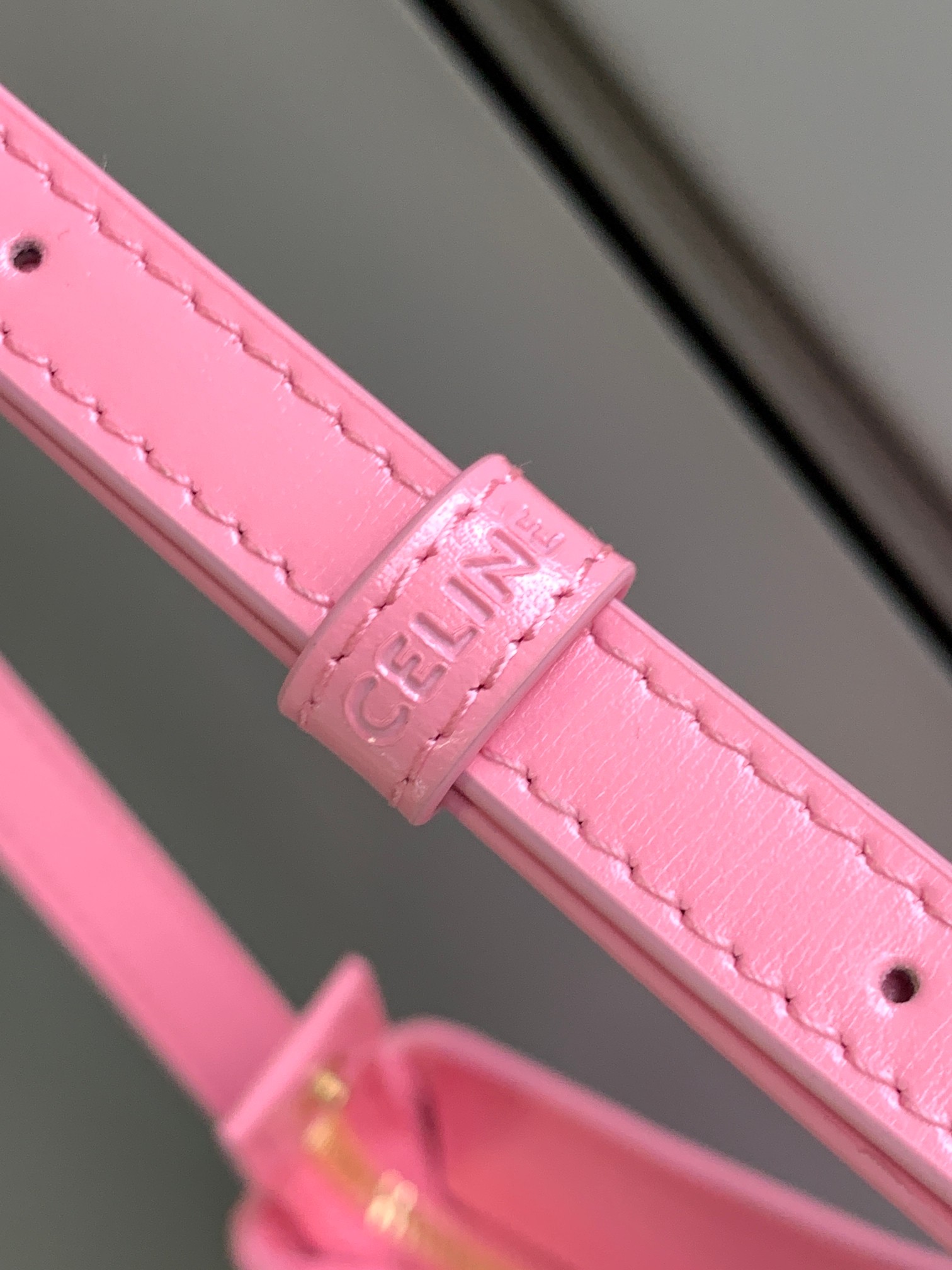 Ce**e tilly hobo bag-22 x 13.5 x 4cm