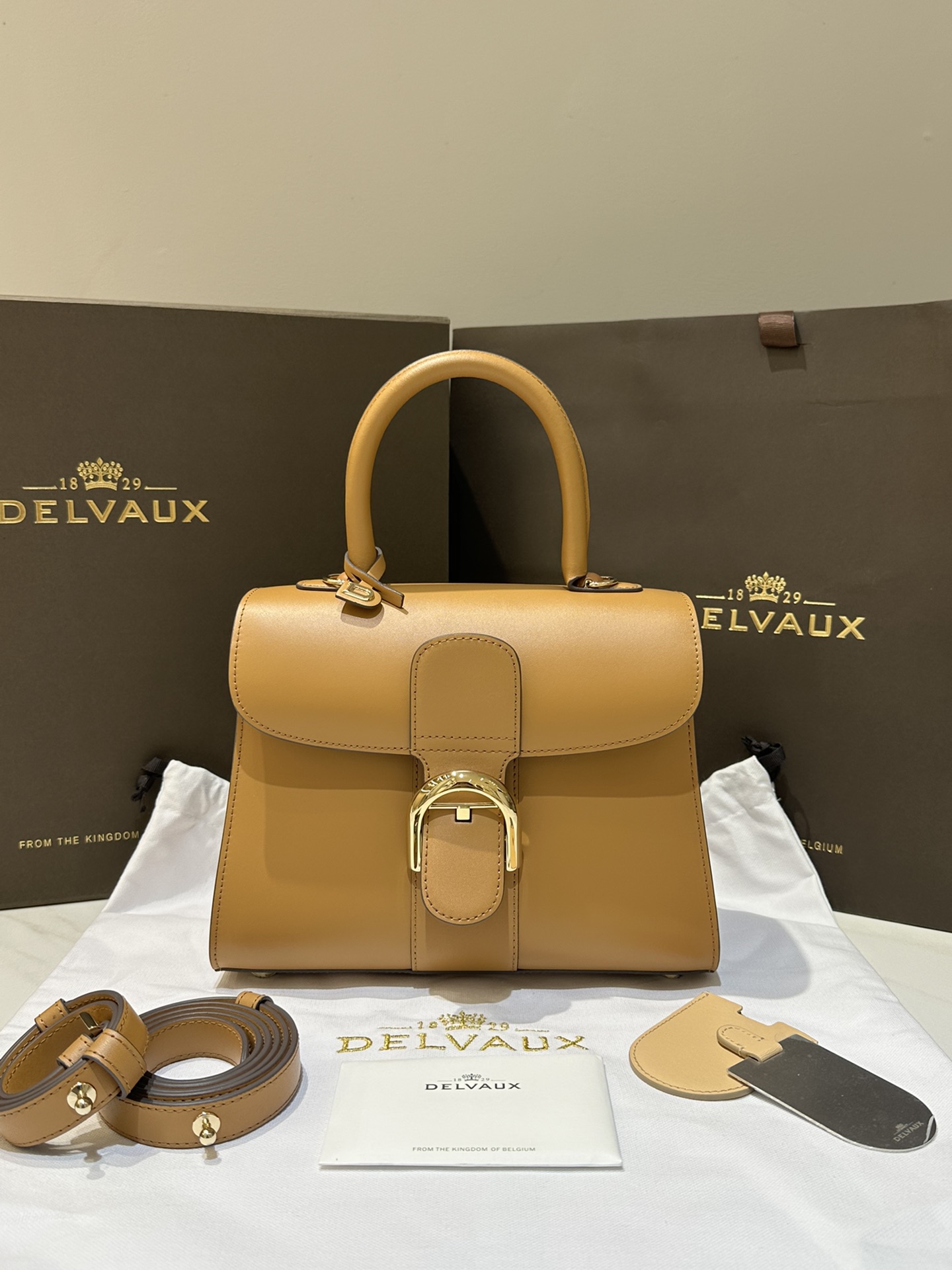 Delvaux Brillant PM Bag-24*12*19CM