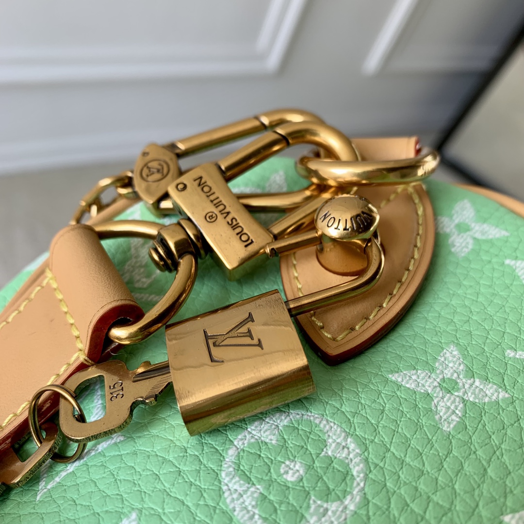 l**is V*t*n speedy bandoulière 25-25x 19 x 15cm