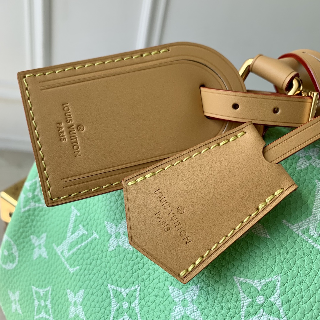 l**is V*t*n speedy bandoulière 25-25x 19 x 15cm