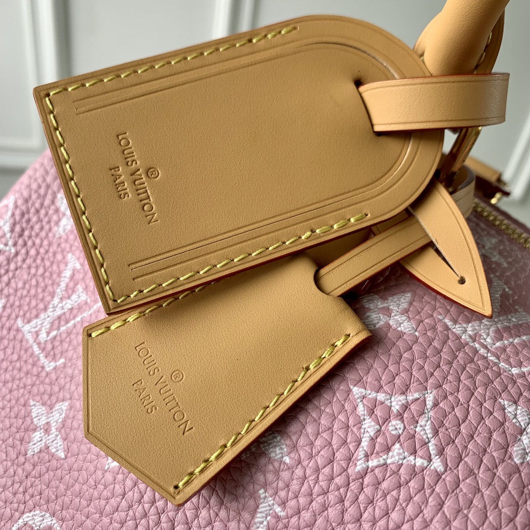 l**is V*t*n speedy bandoulière 25-25x 19 x 15cm