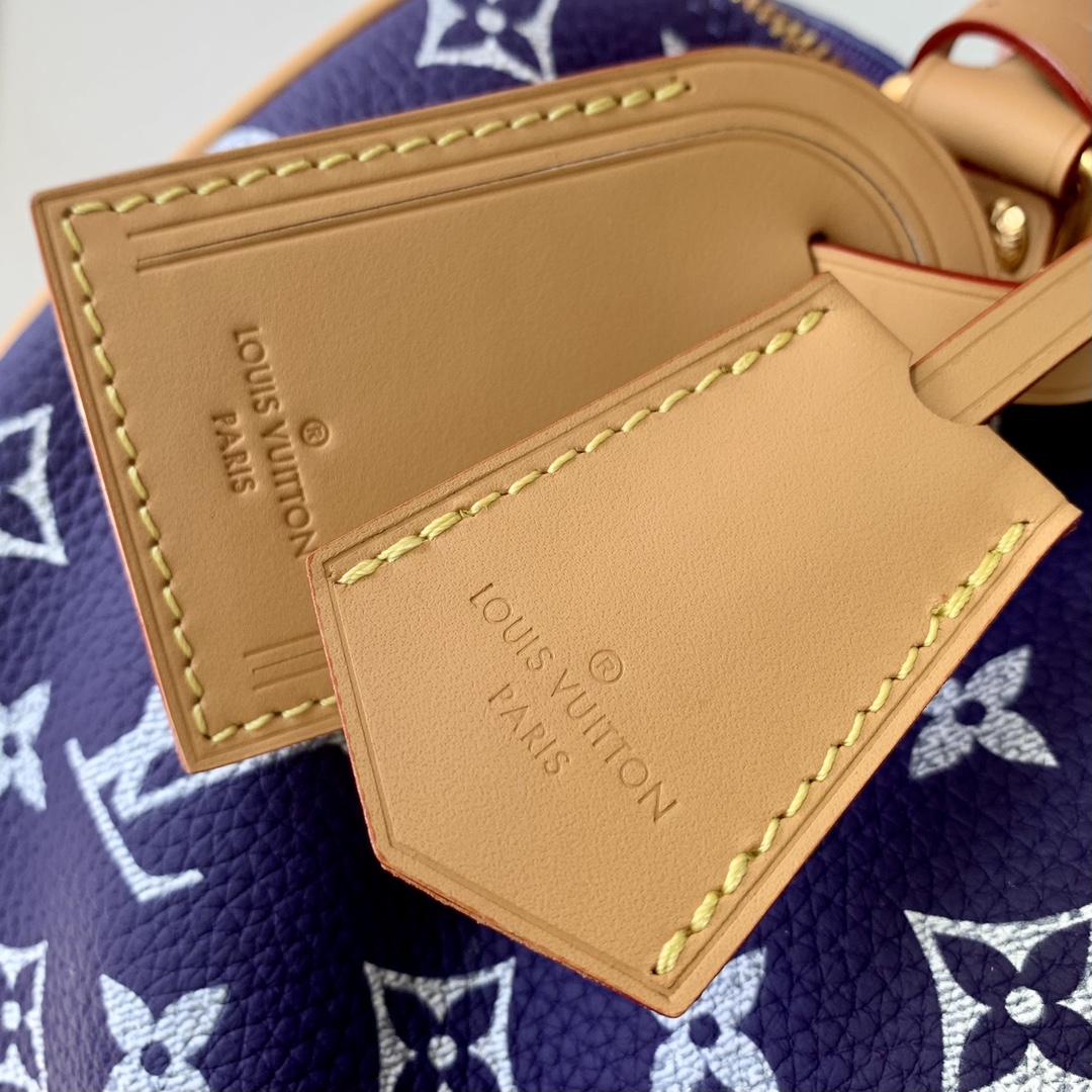 l**is V*t*n speedy bandoulière 25-25x 19 x 15cm