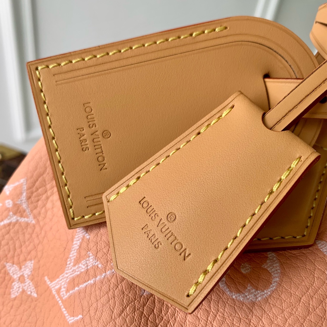 l**is V*t*n speedy bandoulière 25-25x 19 x 15cm