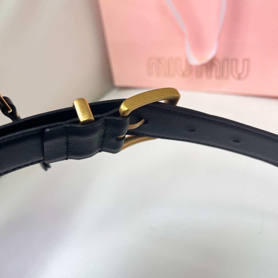 MiuMiu Belt Bag-15*9.5CM