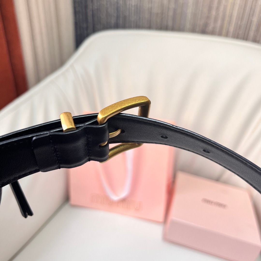 MiuMiu Belt Bag